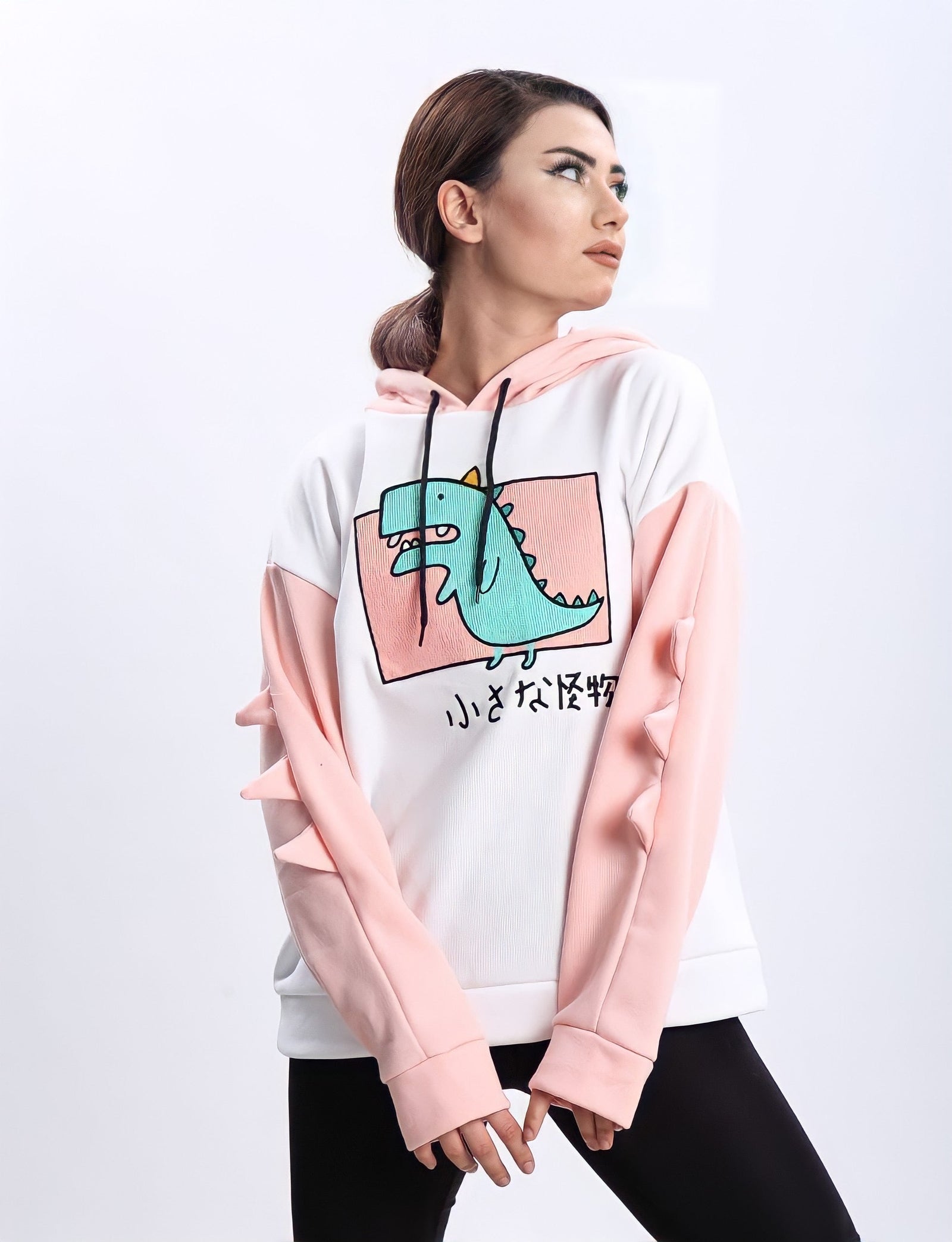 Turkish Dinosaur Cartoon Hoodie Women Fashion Sweatshirt - Pink Turkish Dinosaur Cartoon Hoodie Women Fashion Sweatshirt - Pink