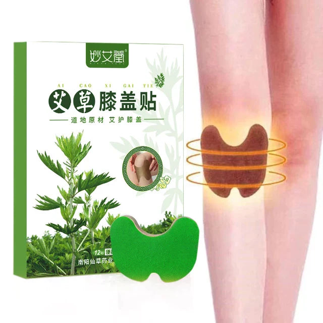 Herbal Medicated Wormwood Plaster Pain Relief Patches 12pcs - Tuzzut.com Qatar Online Shopping