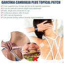 Garcinia yellow fruit body-shaping Patch for external body shaping, lifting leg muscles, reducing belly fat, Slouching Patch - Tuzzut.com Qatar Online Shopping