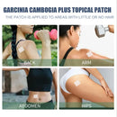 Garcinia yellow fruit body-shaping Patch for external body shaping, lifting leg muscles, reducing belly fat, Slouching Patch - Tuzzut.com Qatar Online Shopping