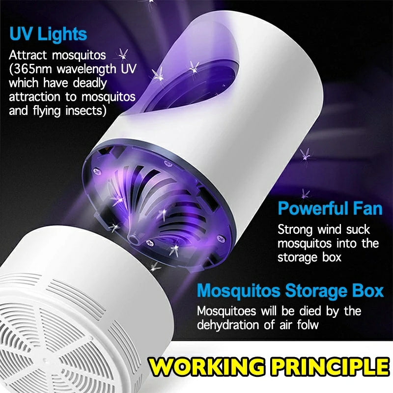 Photocatalysis Suction Type UV Mosquito Killer Lamp Photocatalysis Suction Type UV Mosquito Killer Lamp