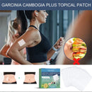 Garcinia yellow fruit body-shaping Patch for external body shaping, lifting leg muscles, reducing belly fat, Slouching Patch - Tuzzut.com Qatar Online Shopping