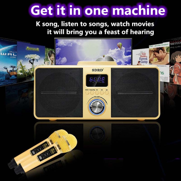 SDRD SD-309 Wireless Bluetooth Dual Microphone Karaoke Portable Speaker - TUZZUT Qatar Online Store