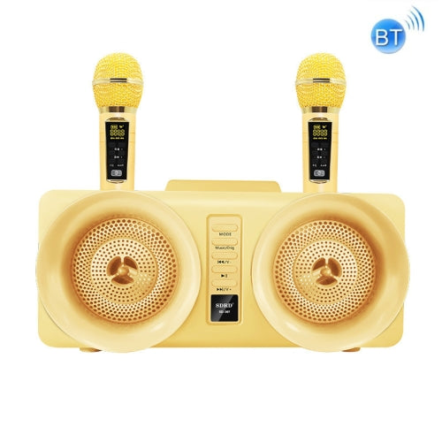 SDRD SD-307 Wireless Bluetooth Karaoke Family speaker with Dual Microphones - TUZZUT Qatar Online Store