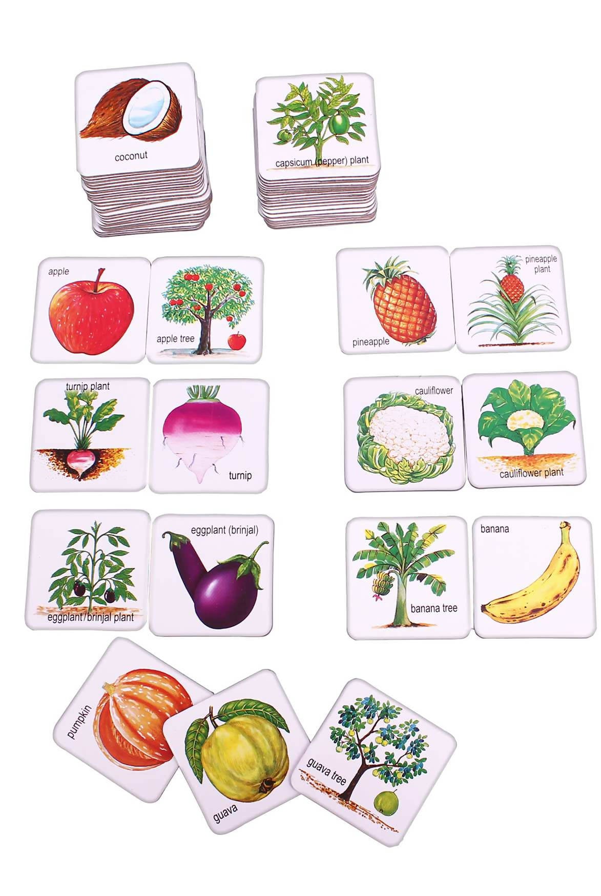 Fruits, Vegetables & Their Plants- 2 in one Game Fruits, Vegetables & Their Plants- 2 in one Game