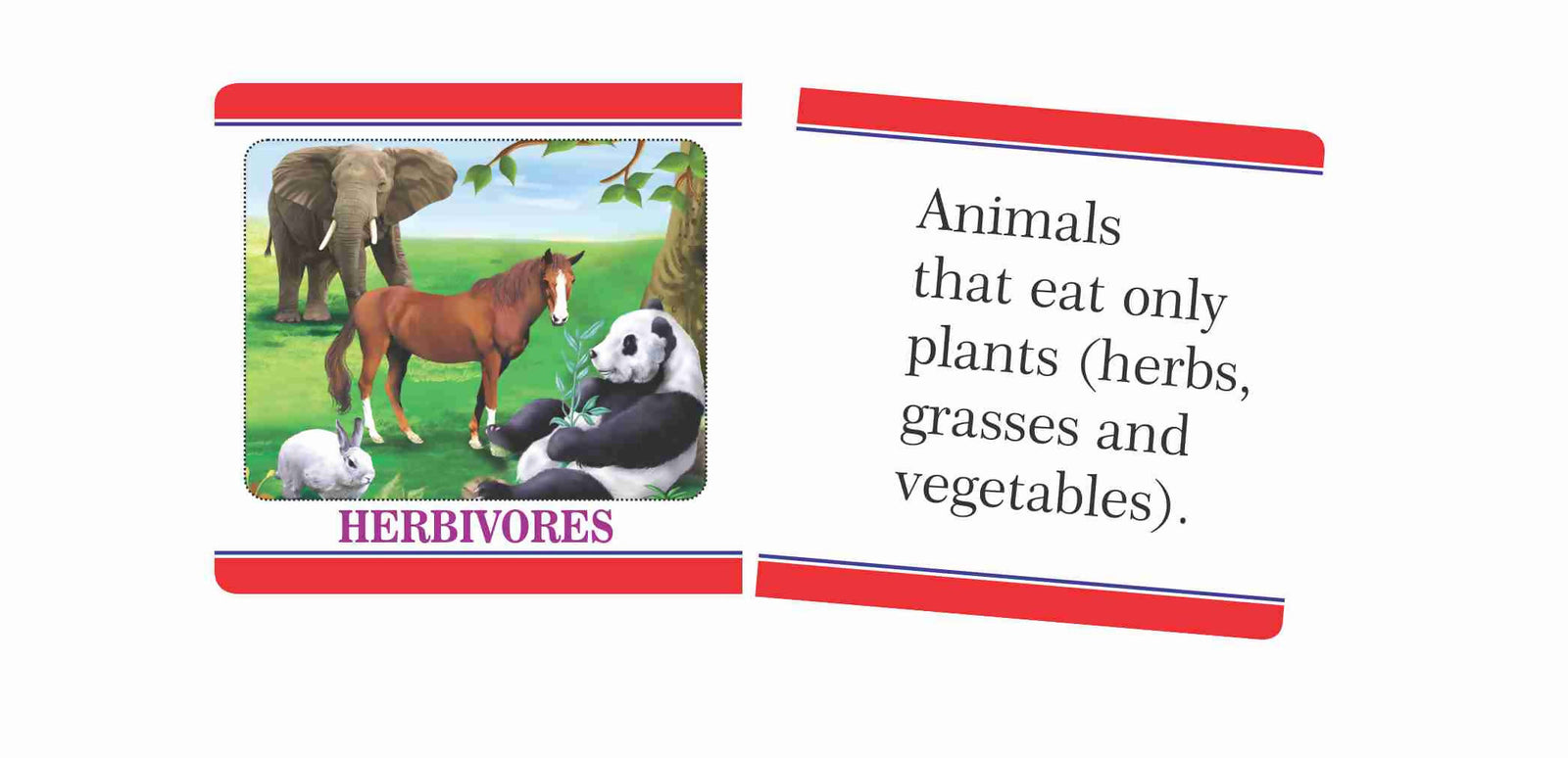 Science Knowledge Boosters- Animals Science Knowledge Boosters- Animals