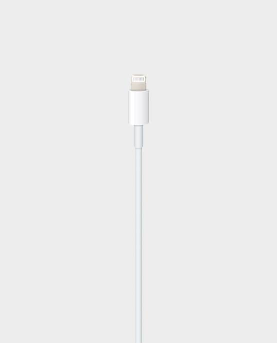 Apple USB-C to Lightning Cable 1m - Tuzzut.com Qatar Online Shopping