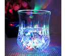 4 Pcs Inductive Rainbow Color Changing Magic Cup - Tuzzut.com Qatar Online Shopping