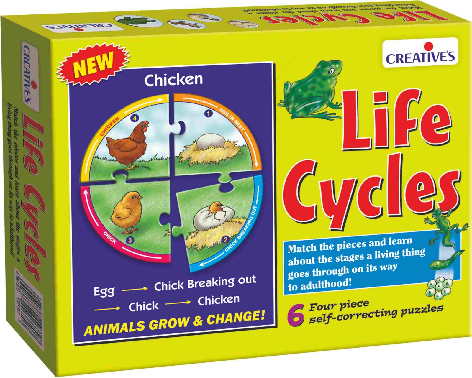Life Cycles Life Cycles