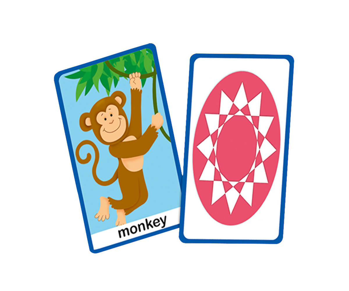 Flash Cards- Memory Match Flash Cards- Memory Match