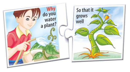 Let's Find out- Why? Let's Find out- Why?