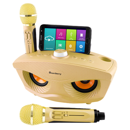 Smartberry S30 Portable Family Karaoke System Two Wireless Microphones With 20w Stereo Bluetooth Speaker Condenser Karaoke Microphone - Tuzzut.com Qatar Online Shopping